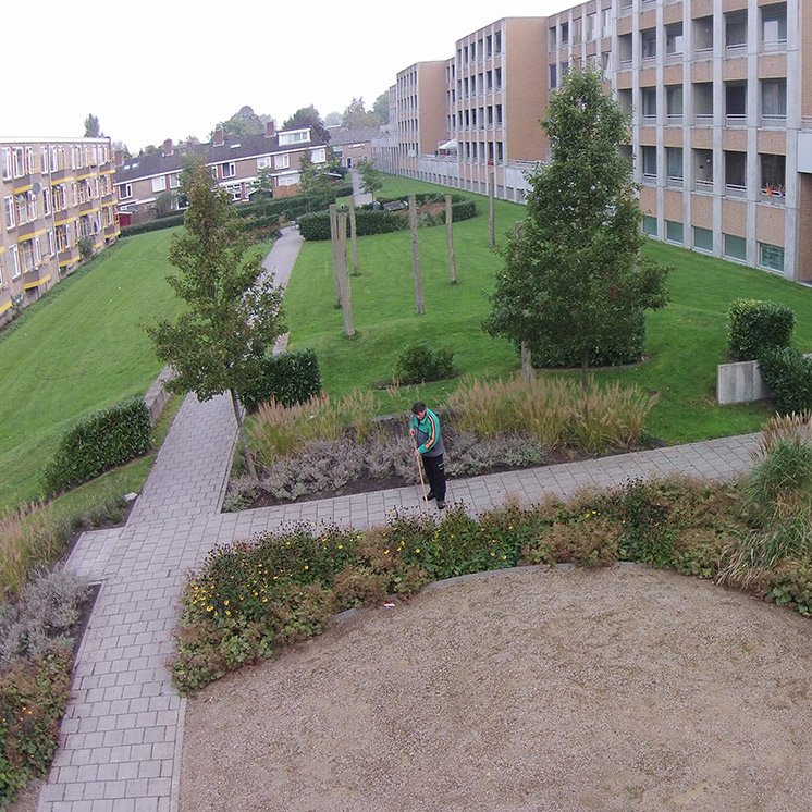 Voor woningcorporatie Nijestee in de stad Groningen onderhoudt Dolmans de groenvoorzieningen.