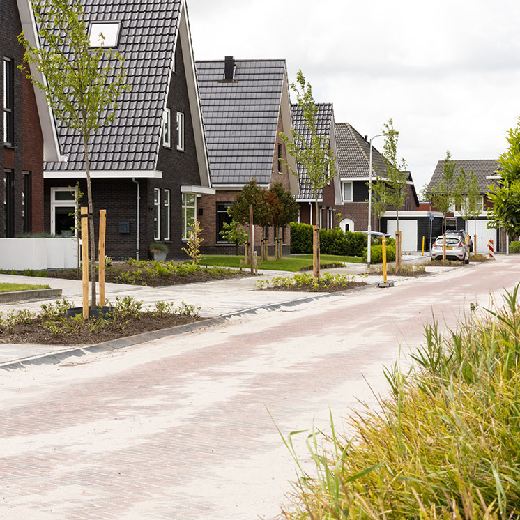 Het aanleggen van verschillende plantvakken die qua beplanting passen bij de strakke lijnen van de huizen in deze nieuwbouwwijk in gemeente Smallingerland.